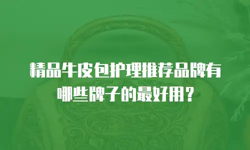 精品牛皮包护理推荐品牌有哪些牌子的最好用？