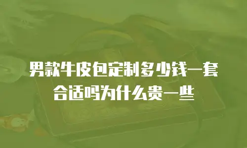 男款牛皮包定制多少钱一套合适吗为什么贵一些