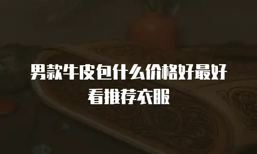 男款牛皮包什么价格好最好看推荐衣服