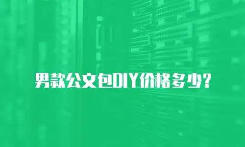 男款公文包DIY价格多少？