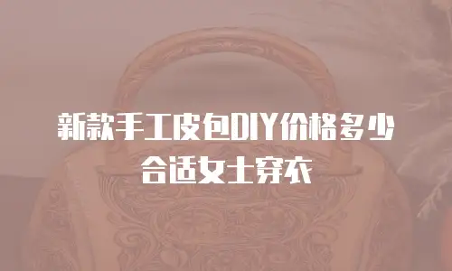 新款手工皮包DIY价格多少合适女士穿衣