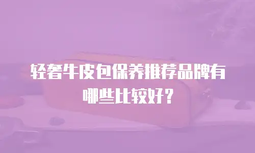 轻奢牛皮包保养推荐品牌有哪些比较好？