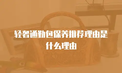轻奢通勤包保养推荐理由是什么理由