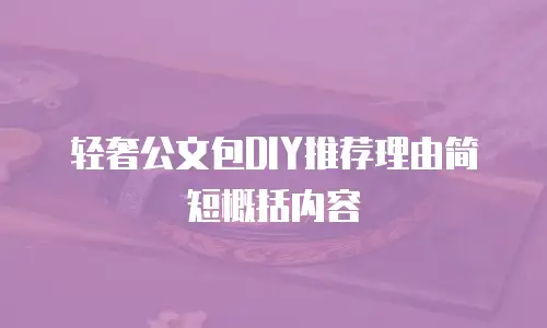 轻奢公文包DIY推荐理由简短概括内容
