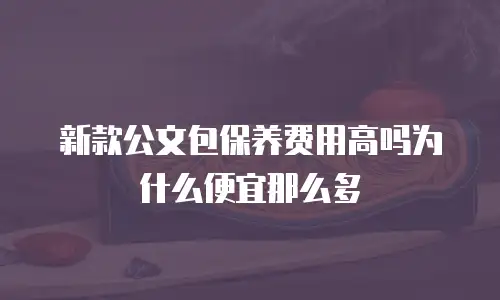新款公文包保养费用高吗为什么便宜那么多