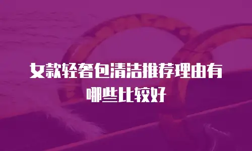 女款轻奢包清洁推荐理由有哪些比较好