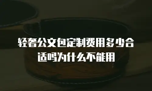 轻奢公文包定制费用多少合适吗为什么不能用
