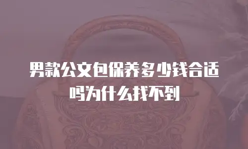 男款公文包保养多少钱合适吗为什么找不到