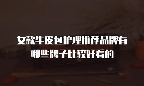 女款牛皮包护理推荐品牌有哪些牌子比较好看的