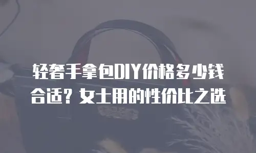轻奢手拿包DIY价格多少钱合适？女士用的性价比之选