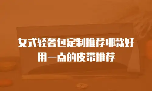 女式轻奢包定制推荐哪款好用一点的皮带推荐