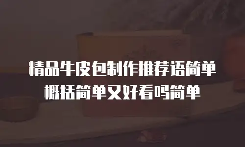 精品牛皮包制作推荐语简单概括简单又好看吗简单