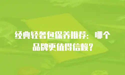 经典轻奢包保养推荐：哪个品牌更值得信赖？
