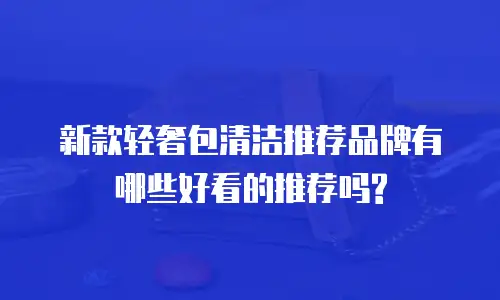 新款轻奢包清洁推荐品牌有哪些好看的推荐吗?
