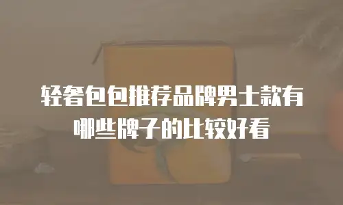 轻奢包包推荐品牌男士款有哪些牌子的比较好看
