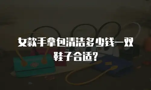 女款手拿包清洁多少钱一双鞋子合适？