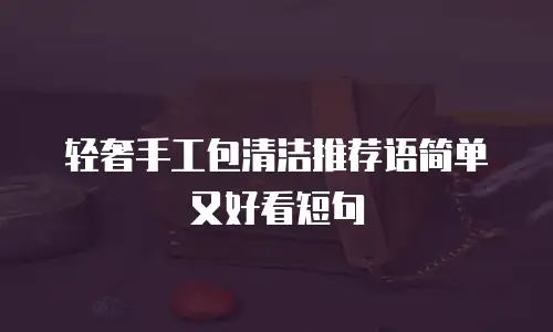 轻奢手工包清洁推荐语简单又好看短句