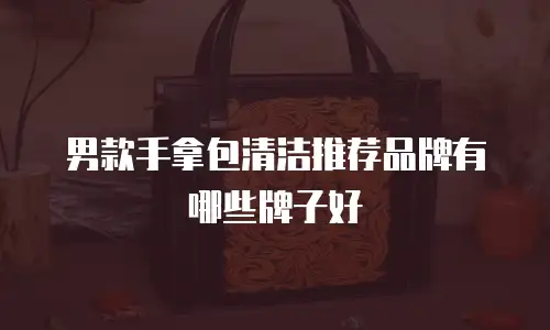 男款手拿包清洁推荐品牌有哪些牌子好