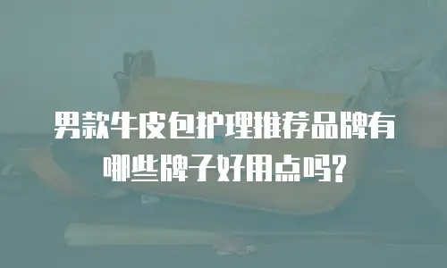 男款牛皮包护理推荐品牌有哪些牌子好用点吗?