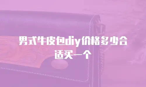 男式牛皮包diy价格多少合适买一个