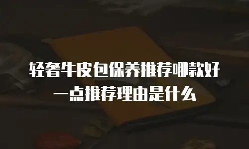 轻奢牛皮包保养推荐哪款好一点推荐理由是什么