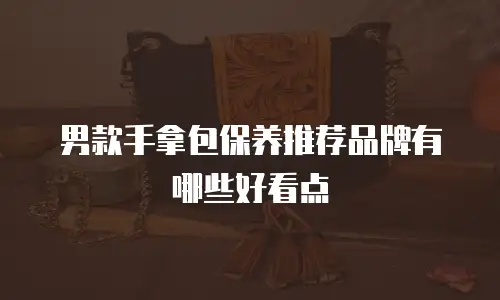男款手拿包保养推荐品牌有哪些好看点
