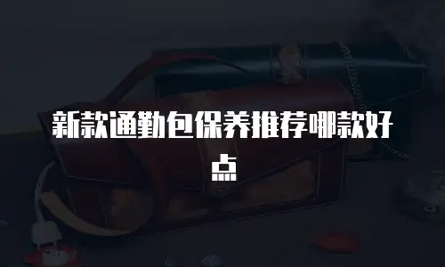 新款通勤包保养推荐哪款好点