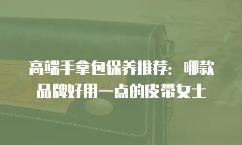 高端手拿包保养推荐：哪款品牌好用一点的皮带女士
