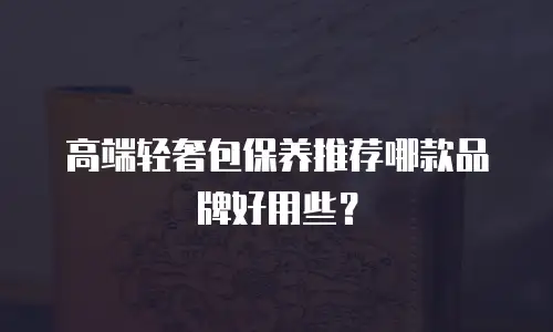 高端轻奢包保养推荐哪款品牌好用些？