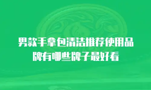 男款手拿包清洁推荐使用品牌有哪些牌子最好看