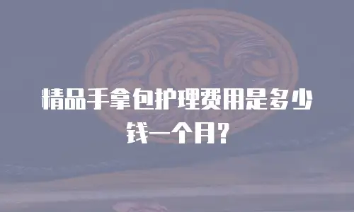 精品手拿包护理费用是多少钱一个月？