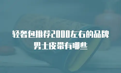 轻奢包推荐2000左右的品牌男士皮带有哪些