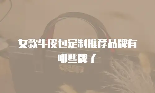 女款牛皮包定制推荐品牌有哪些牌子
