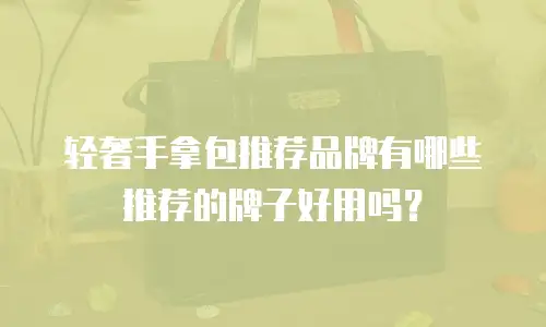 轻奢手拿包推荐品牌有哪些推荐的牌子好用吗？