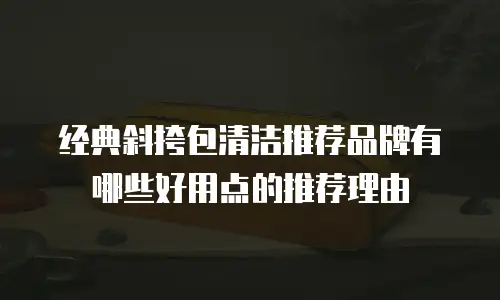 经典斜挎包清洁推荐品牌有哪些好用点的推荐理由