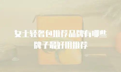 女士轻奢包推荐品牌有哪些牌子最好用推荐