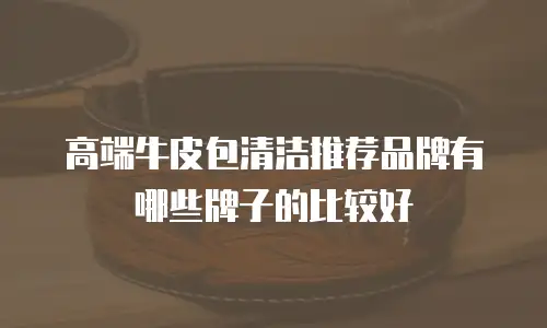 高端牛皮包清洁推荐品牌有哪些牌子的比较好