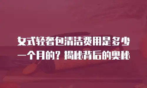 女式轻奢包清洁费用是多少一个月的？揭秘背后的奥秘