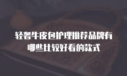 轻奢牛皮包护理推荐品牌有哪些比较好看的款式