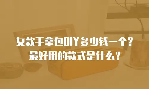 女款手拿包DIY多少钱一个？最好用的款式是什么？