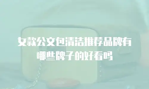 女款公文包清洁推荐品牌有哪些牌子的好看吗