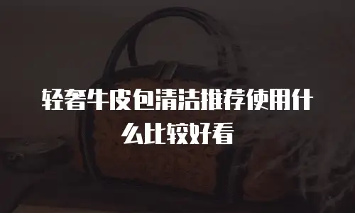 轻奢牛皮包清洁推荐使用什么比较好看