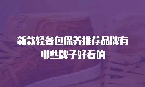 新款轻奢包保养推荐品牌有哪些牌子好看的