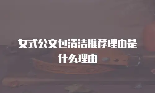 女式公文包清洁推荐理由是什么理由