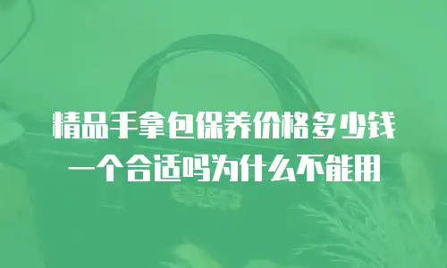 精品手拿包保养价格多少钱一个合适吗为什么不能用