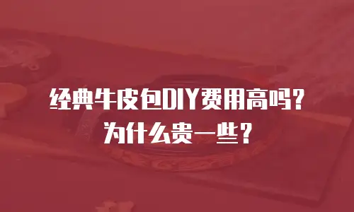 经典牛皮包DIY费用高吗？为什么贵一些？