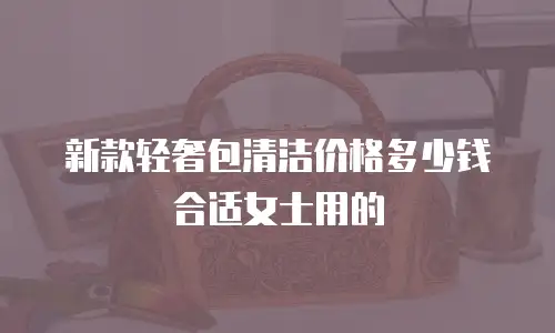 新款轻奢包清洁价格多少钱合适女士用的
