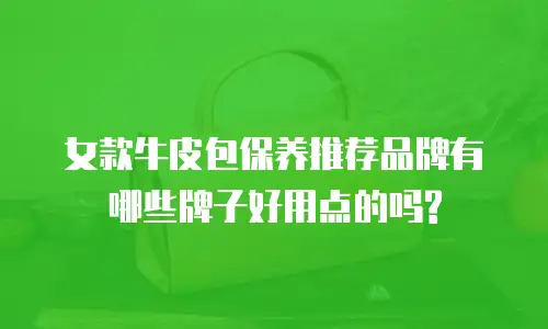 女款牛皮包保养推荐品牌有哪些牌子好用点的吗?