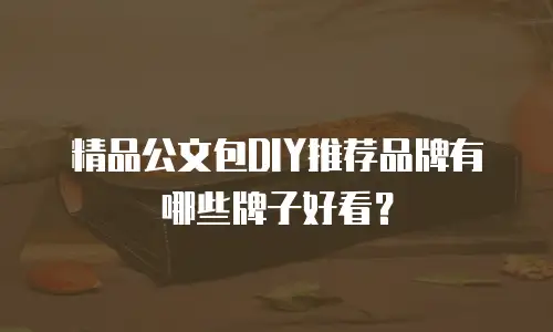 精品公文包DIY推荐品牌有哪些牌子好看？