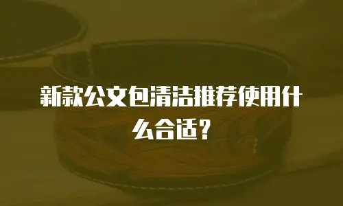 新款公文包清洁推荐使用什么合适？